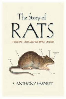 Book cover for The Story of Rats