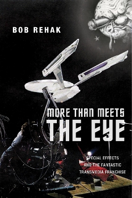 Book cover for More Than Meets the Eye