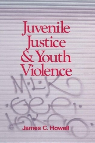 Cover of Juvenile Justice and Youth Violence