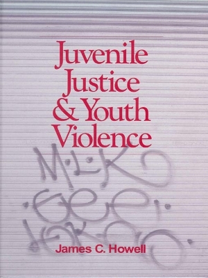 Book cover for Juvenile Justice and Youth Violence