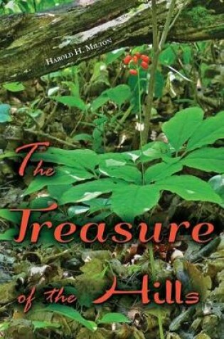 Cover of The Treasure of the Hills