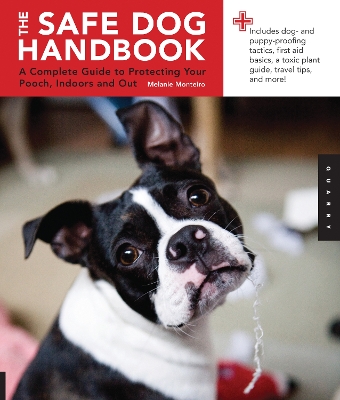 Book cover for Safe Dog Handbook