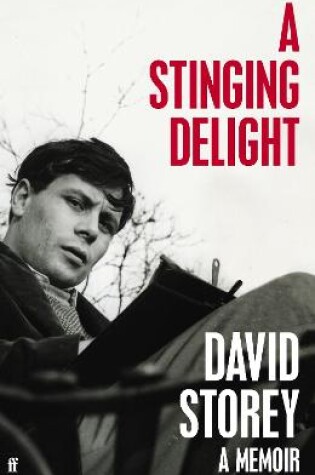 Cover of A Stinging Delight