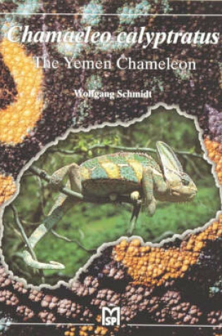 Cover of The Yemen Chameleon