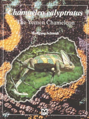 Book cover for The Yemen Chameleon