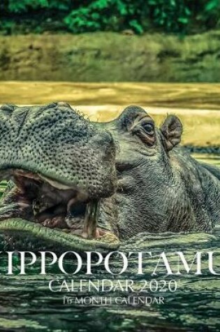 Cover of Hippopotamus Calendar 2020