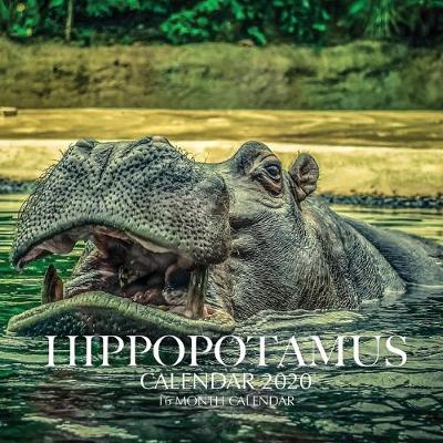 Book cover for Hippopotamus Calendar 2020