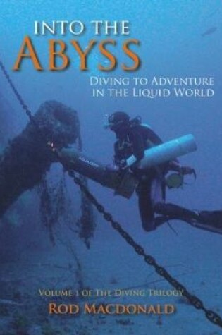 Cover of The Into the Abyss