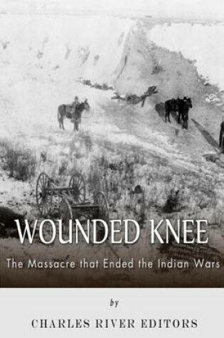 Cover of Wounded Knee