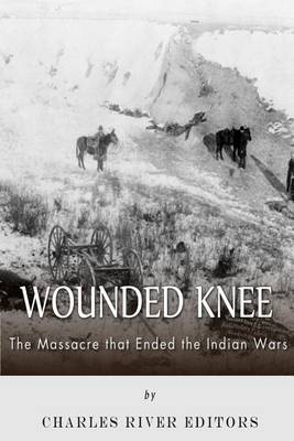 Book cover for Wounded Knee