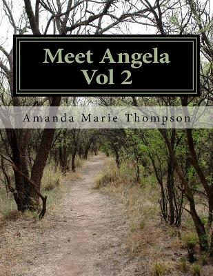 Cover of Meet Angela Vol 2