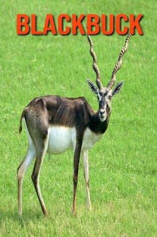 Cover of Blackbuck