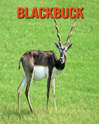 Book cover for Blackbuck