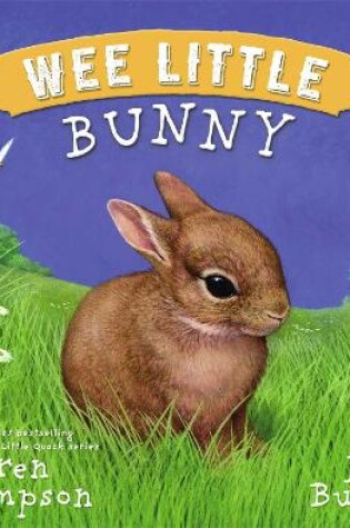 Cover of Wee Little Bunny