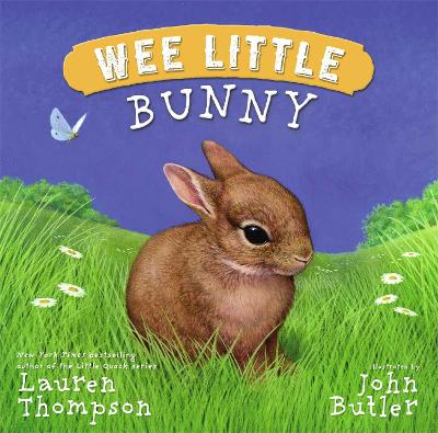 Cover of Wee Little Bunny