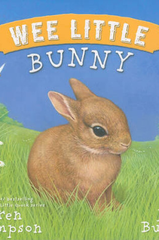 Cover of Wee Little Bunny