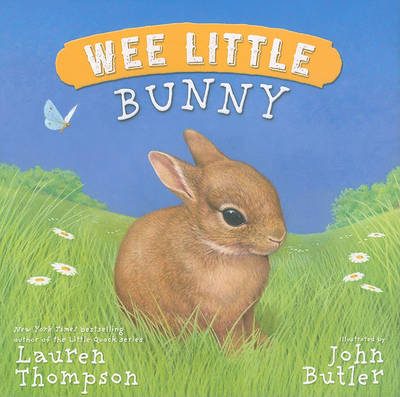 Cover of Wee Little Bunny