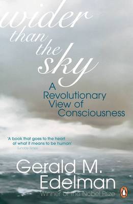 Book cover for Wider Than the Sky