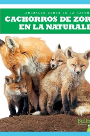 Cover of Cachorros de Zorro En La Naturaleza (Fox Kits in the Wild)