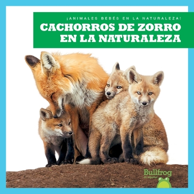 Cover of Cachorros de Zorro En La Naturaleza (Fox Kits in the Wild)