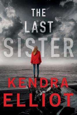 Book cover for The Last Sister