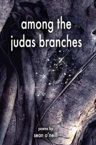 Cover of among the judas branches