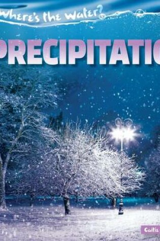 Cover of Precipitation