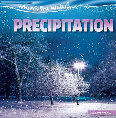 Book cover for Precipitation