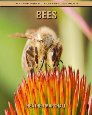 Book cover for Bees