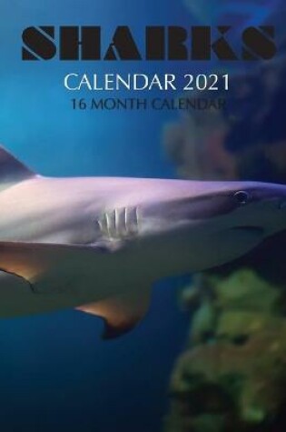 Cover of Sharks Calendar 2021