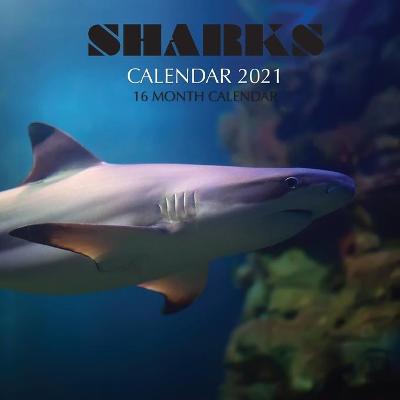 Book cover for Sharks Calendar 2021