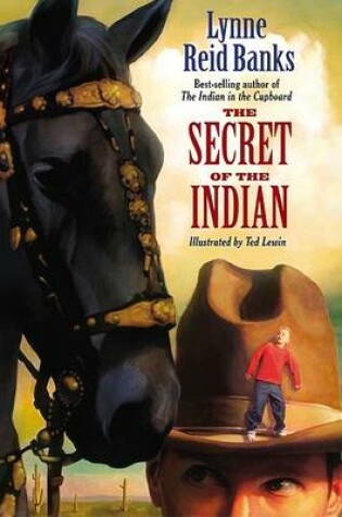 Cover of The Secret of the Indian