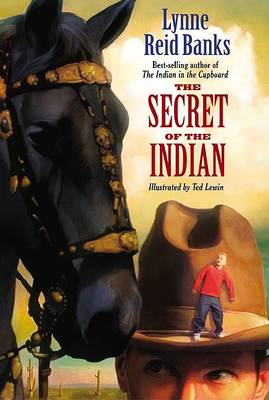 Book cover for The Secret of the Indian