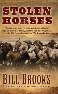 Book cover for Stolen Horses