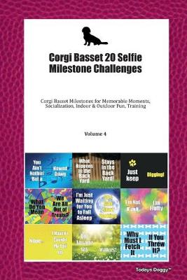 Book cover for Corgi Basset 20 Selfie Milestone Challenges