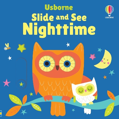 Book cover for Slide and See Nighttime