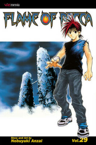 Cover of Flame of Recca, Vol. 29