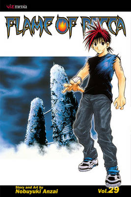 Book cover for Flame of Recca, Vol. 29