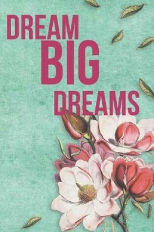 Cover of Dream Big Dreams