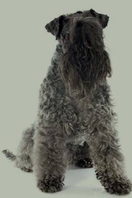 Cover of Kerry Blue Terrier