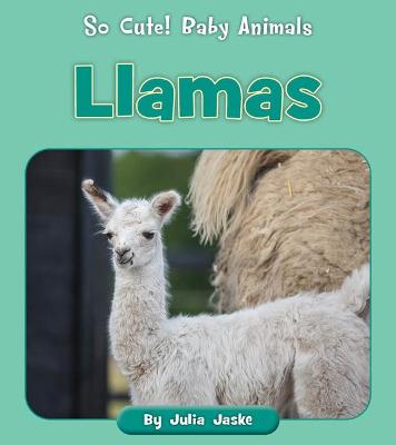 Book cover for Llamas