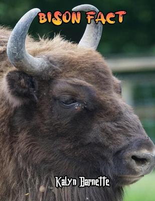 Book cover for Bison Fact