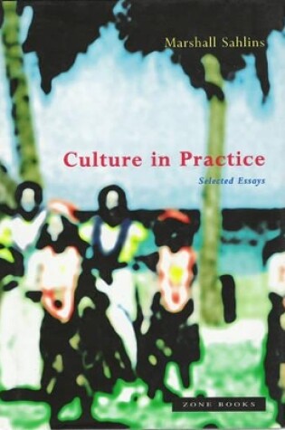 Cover of Culture in Practice