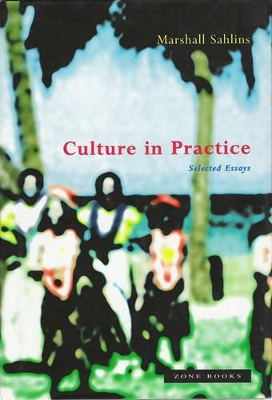 Book cover for Culture in Practice