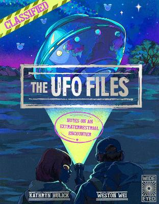 Book cover for The UFO Files