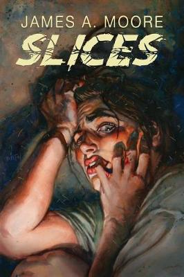 Book cover for Slices