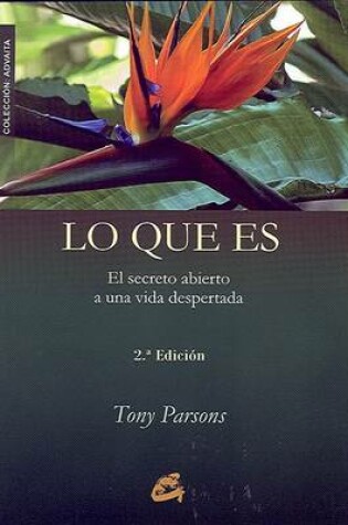 Cover of Lo Que Es