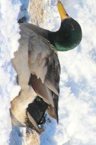 Cover of Mallard Duck Resting in the Snow Journal