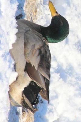 Book cover for Mallard Duck Resting in the Snow Journal