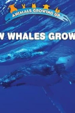 Cover of How Whales Grow Up